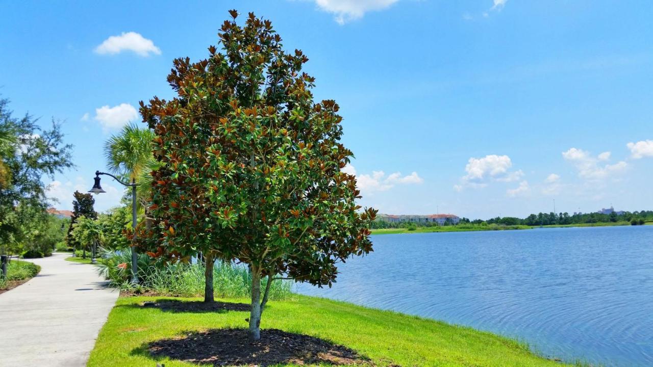 5025 Shoreway Loop #203 Orlando Eksteriør billede
